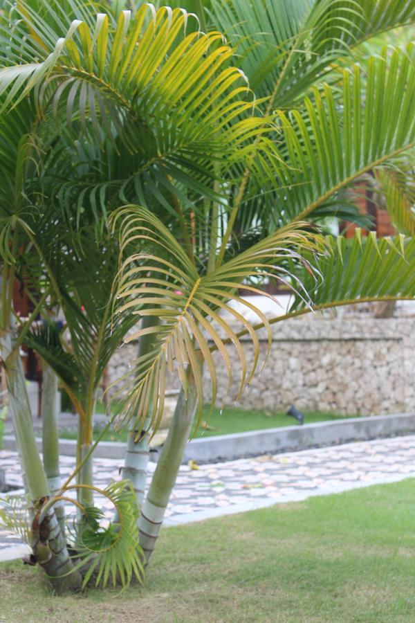 Gepah Garden Cottage Nusa Penida Kültér fotó